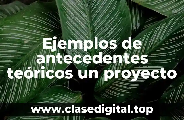 Ejemplos de antecedentes teóricos un proyecto