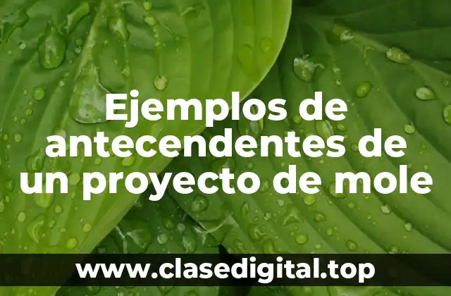 Ejemplos de antecendentes de un proyecto de mole