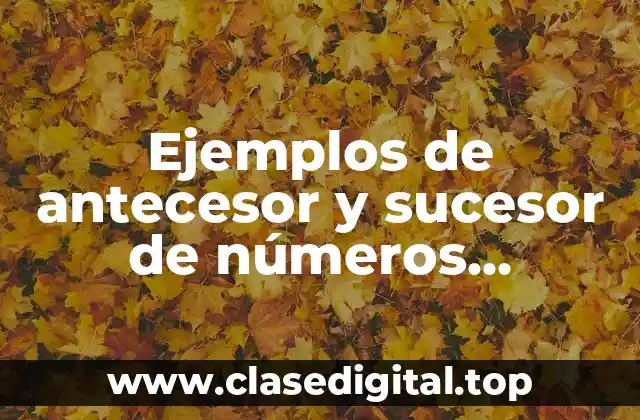 Ejemplos de antecesor y sucesor de números decimales
