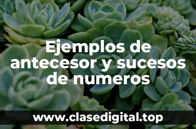 Ejemplos de antecesor y sucesos de numeros