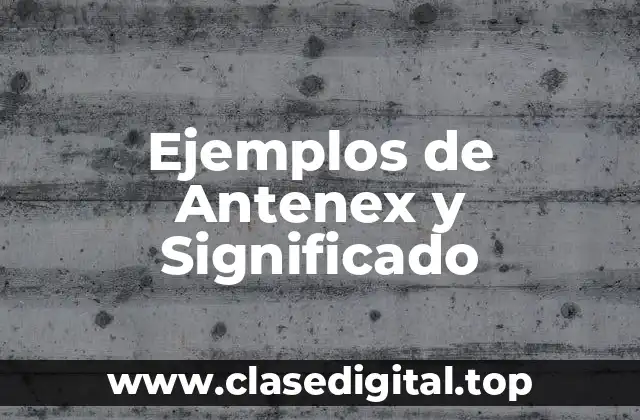 Ejemplos de Antenex y Significado