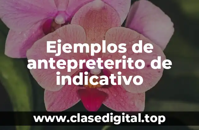 Ejemplos de antepreterito de indicativo