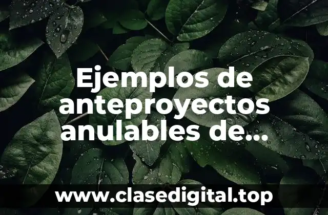 Ejemplos de anteproyectos anulables de presupuesto