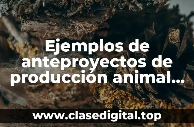 Ejemplos de anteproyectos de producción animal con enfoque agroecológico