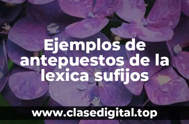 Ejemplos de antepuestos de la lexica sufijos
