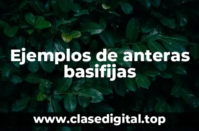 Ejemplos de anteras basifijas
