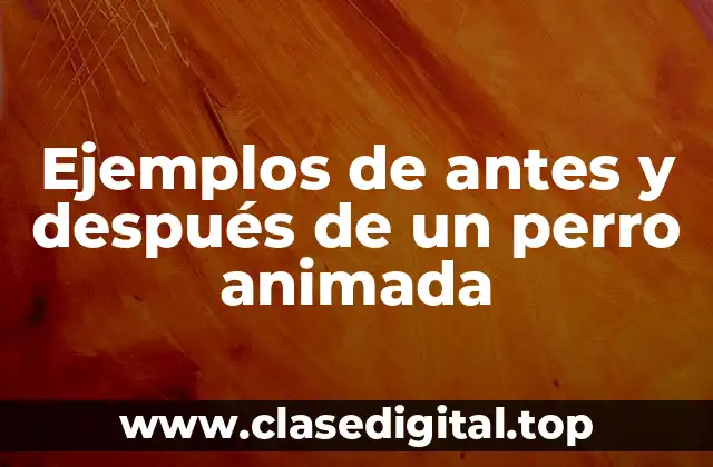 Ejemplos de antes y después de un perro animada