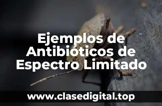 Ejemplos de Antibióticos de Espectro Limitado