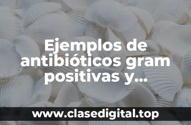 Ejemplos de antibióticos gram positivas y Significado