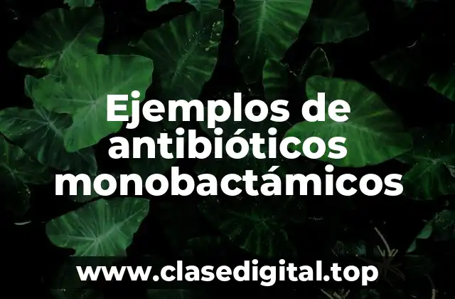Ejemplos de antibióticos monobactámicos