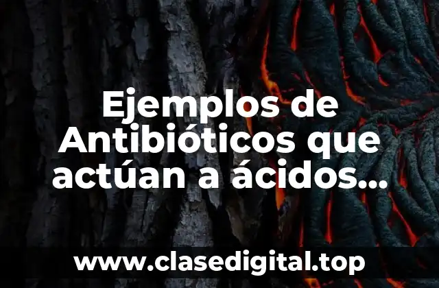 Ejemplos de Antibióticos que actúan a ácidos nucleicos