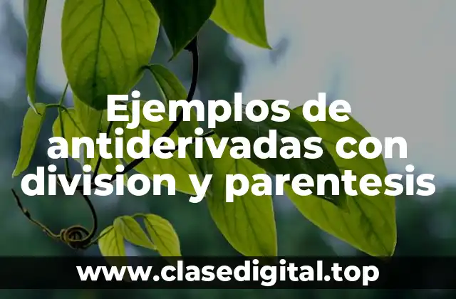 Ejemplos de antiderivadas con division y parentesis