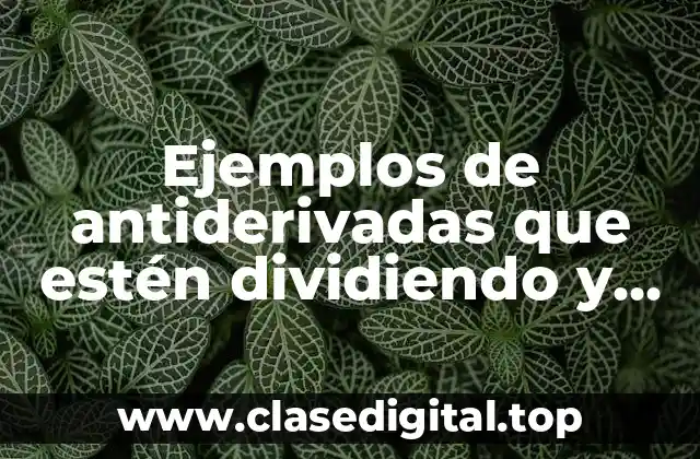Ejemplos de antiderivadas que estén dividiendo y Significado