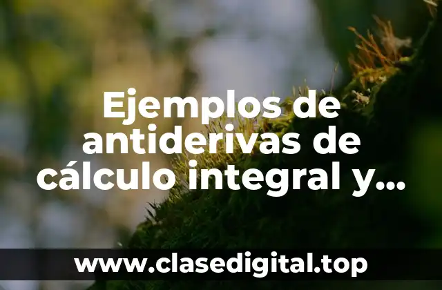 Ejemplos de antiderivas de cálculo integral y Significado