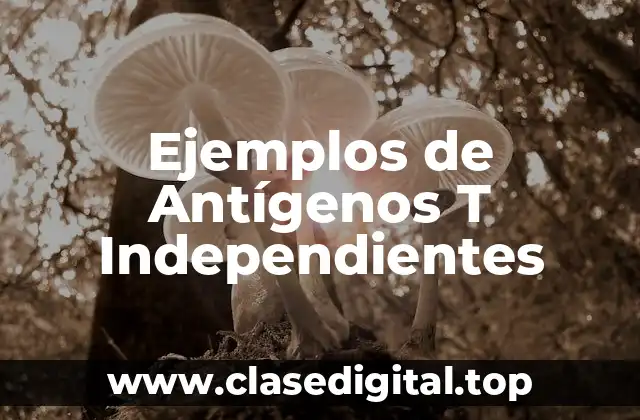 Ejemplos de Antígenos T Independientes