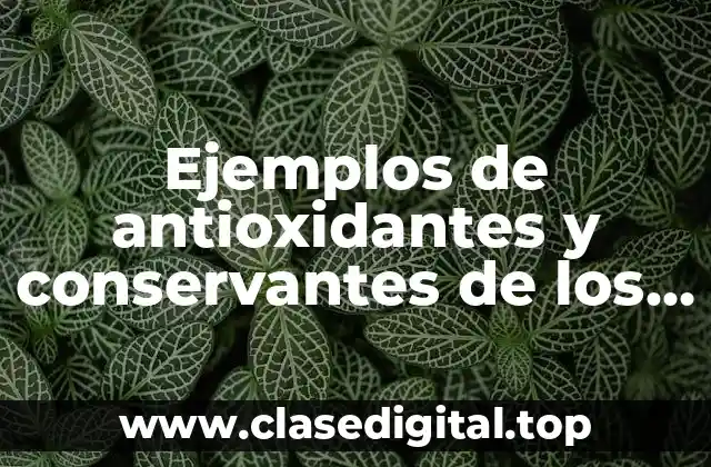 Ejemplos de antioxidantes y conservantes de los labiales