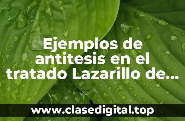 Ejemplos de antitesis en el tratado Lazarillo de Tormes