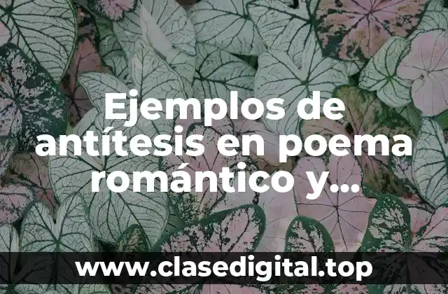 Ejemplos de antítesis en poema romántico