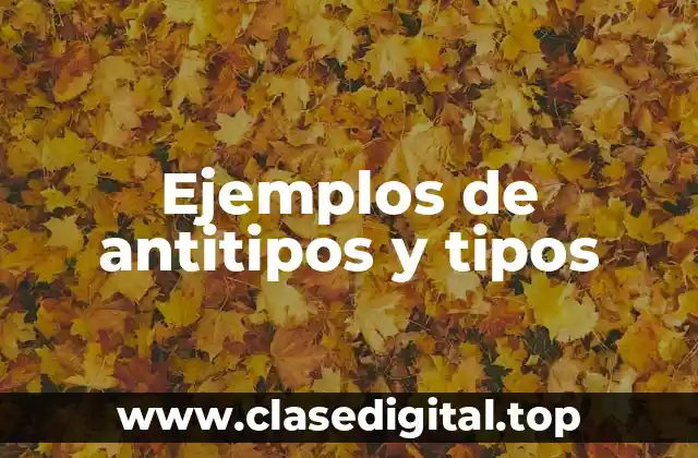 Ejemplos de antitipos y tipos