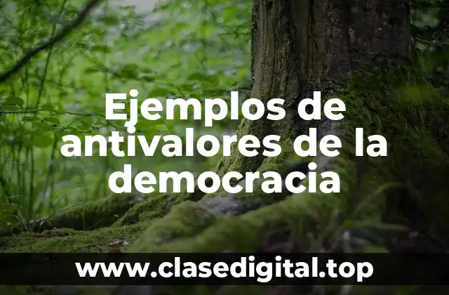 Ejemplos de antivalores de la democracia