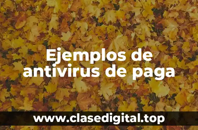 Ejemplos de antivirus de paga