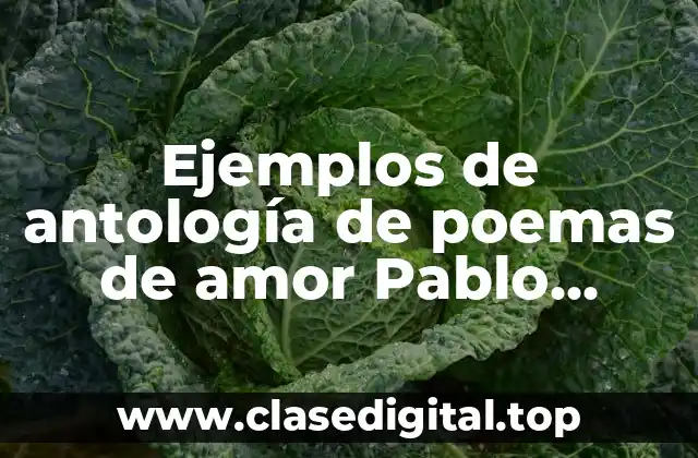 Ejemplos de antología de poemas de amor Pablo Neruda