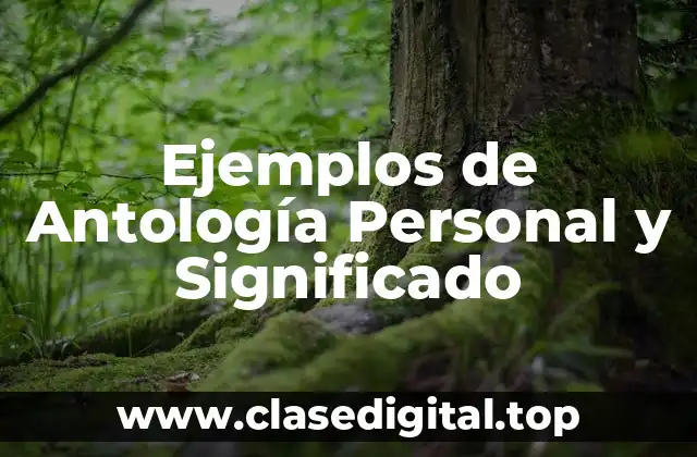 Ejemplos de Antología Personal y Significado