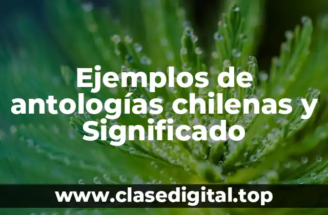 Ejemplos de antologías chilenas y Significado