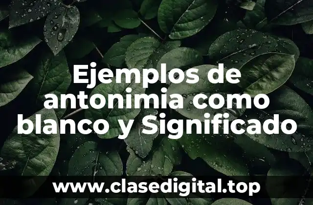 Ejemplos de antonimia como blanco y Significado