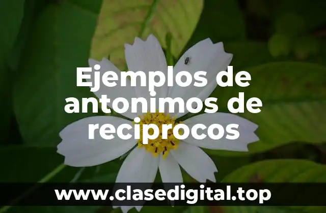 Ejemplos de antonimos de reciprocos