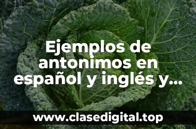 Ejemplos de antonimos en español y inglés y Significado