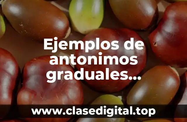 Ejemplos de antonimos graduales complementarios y reciprocos y Significado