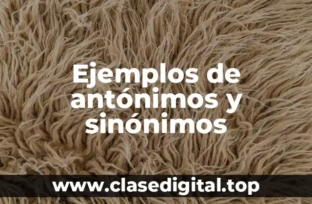 Ejemplos de antónimos y sinónimos