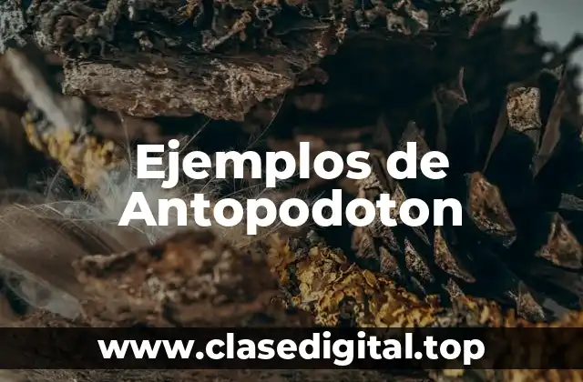 Ejemplos de Antopodoton