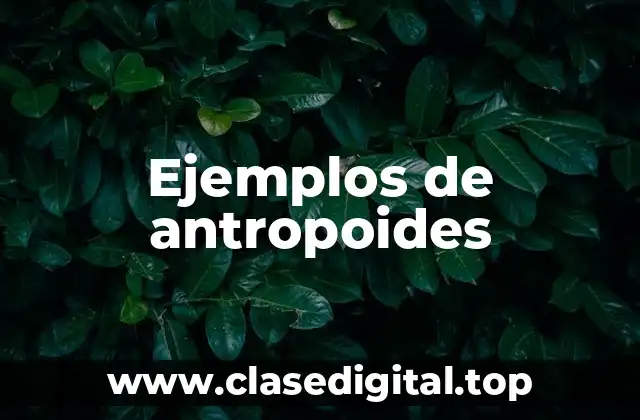 Ejemplos de antropoides