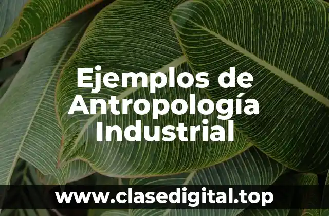 Ejemplos de Antropología Industrial