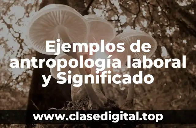 Ejemplos de antropología laboral