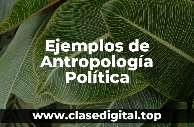 Ejemplos de Antropología Política