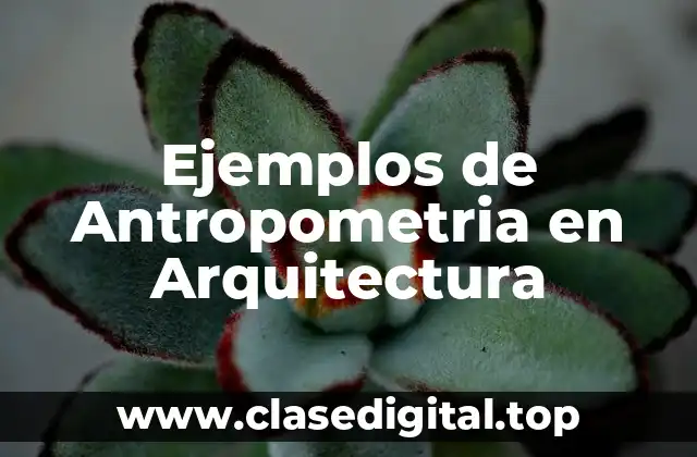 Ejemplos de Antropometria en Arquitectura