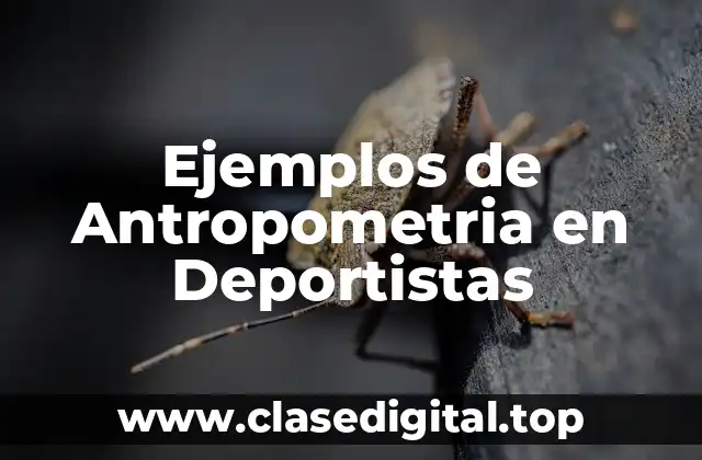 Ejemplos de Antropometria en Deportistas