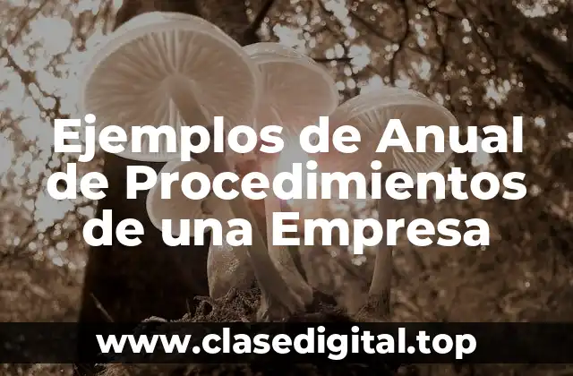 Ejemplos de Anual de Procedimientos de una Empresa