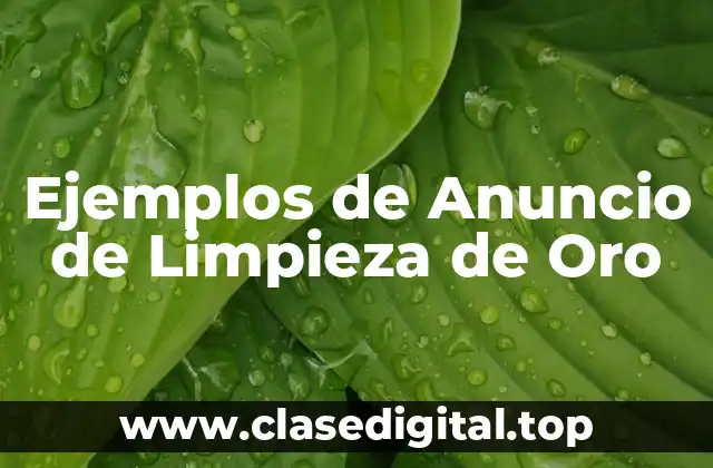 Ejemplos de Anuncio de Limpieza de Oro