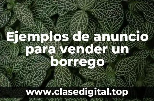 Ejemplos de anuncio para vender un borrego