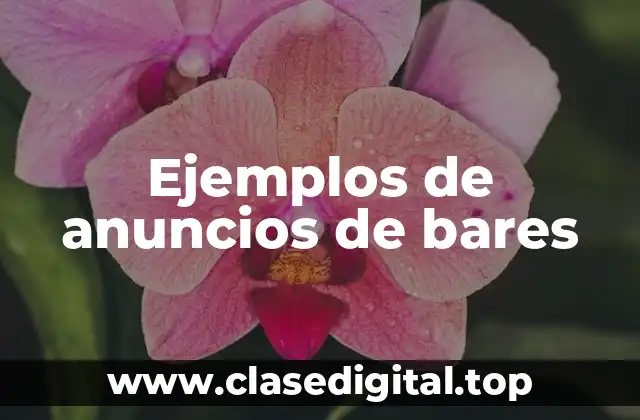 Ejemplos de anuncios de bares