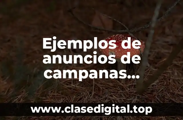 Ejemplos de anuncios de campanas publicitarias