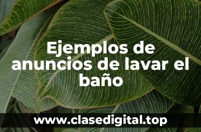 Ejemplos de anuncios de lavar el baño
