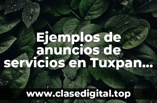 Ejemplos de anuncios de servicios en Tuxpan Veracruz