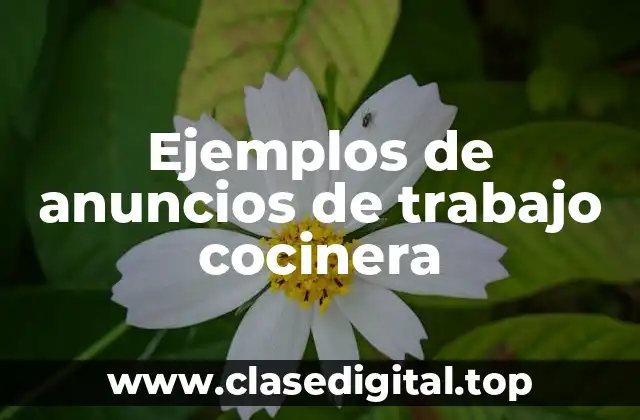 Ejemplos de anuncios de trabajo cocinera