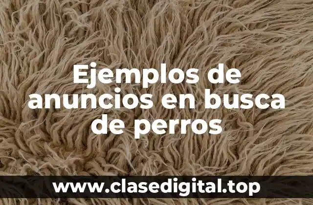 Ejemplos de anuncios en busca de perros