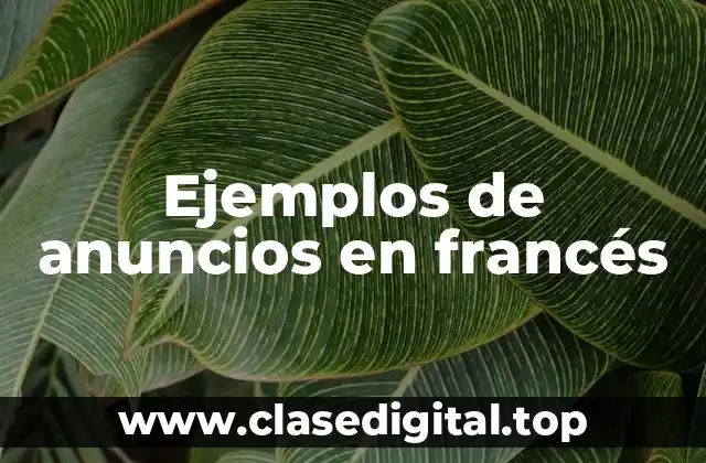 Ejemplos de anuncios en francés